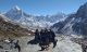 Everest base camp trekking 14 days