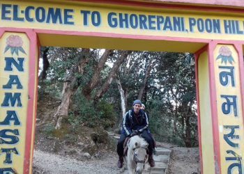Ghorepani Poon Hill(Horseback riding) Pony Trek