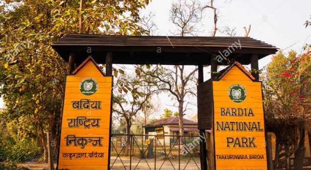  Bardia National Park Tour 