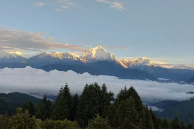 Annapurna Panchase Trek 7 days.