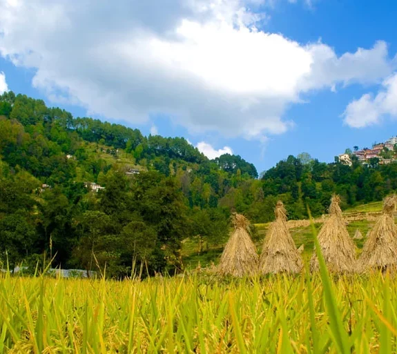 Kathmandu Nagarkot Tour.