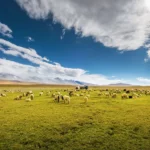 Tibet Travel Tour 10 Days.