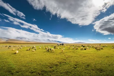 Tibet Travel Tour 10 Days.