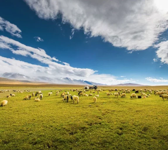 Tibet Travel Tour 10 Days.